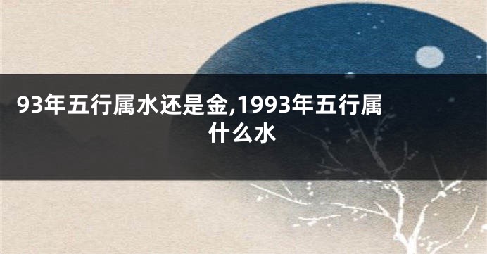 93年五行属水还是金,1993年五行属什么水