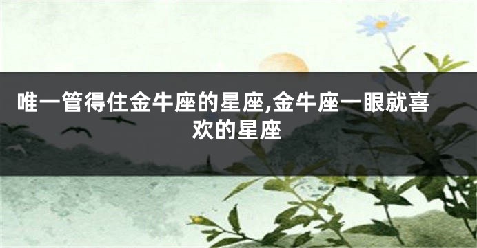 唯一管得住金牛座的星座,金牛座一眼就喜欢的星座