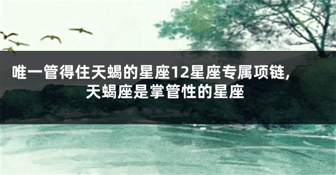 唯一管得住天蝎的星座12星座专属项链,天蝎座是掌管性的星座