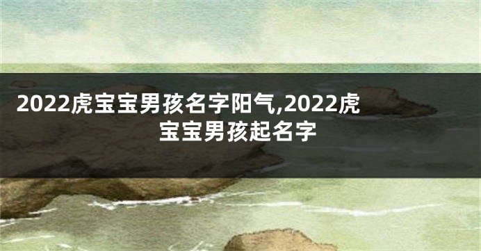 2022虎宝宝男孩名字阳气,2022虎宝宝男孩起名字