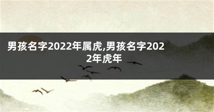 男孩名字2022年属虎,男孩名字2022年虎年