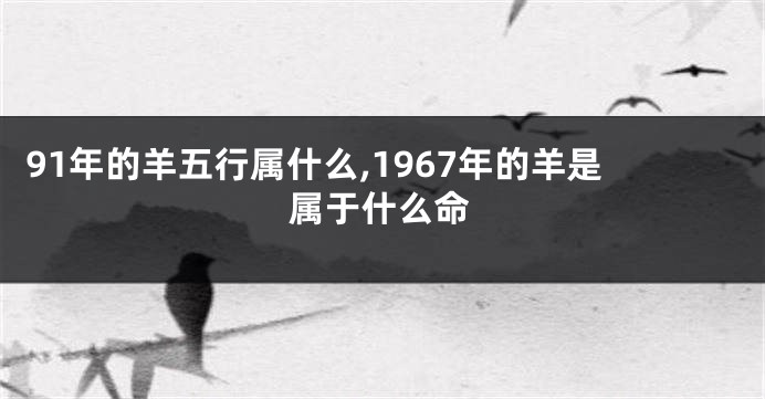 91年的羊五行属什么,1967年的羊是属于什么命