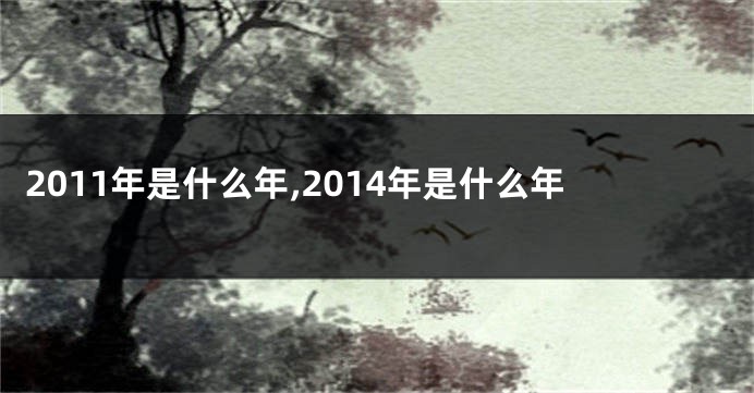 2011年是什么年,2014年是什么年