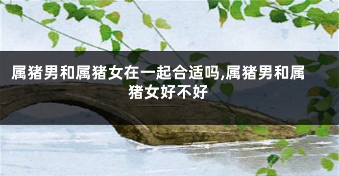 属猪男和属猪女在一起合适吗,属猪男和属猪女好不好