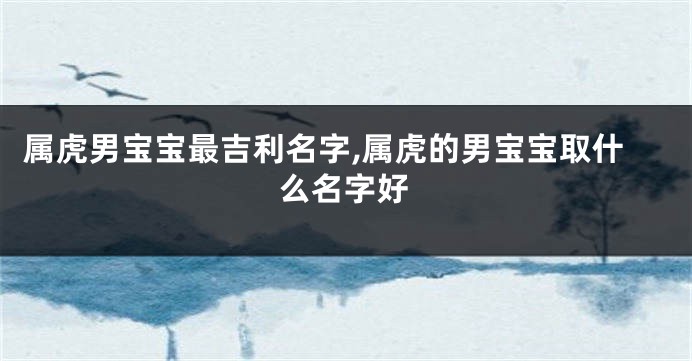 属虎男宝宝最吉利名字,属虎的男宝宝取什么名字好