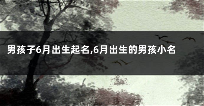男孩子6月出生起名,6月出生的男孩小名