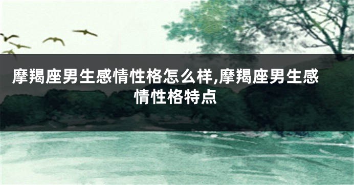 摩羯座男生感情性格怎么样,摩羯座男生感情性格特点