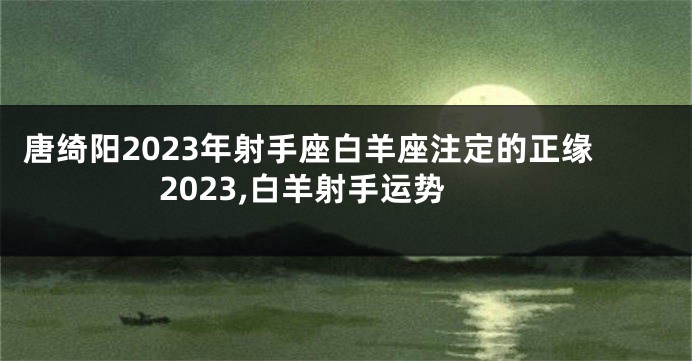 唐绮阳2023年射手座白羊座注定的正缘2023,白羊射手运势