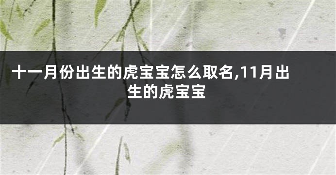 十一月份出生的虎宝宝怎么取名,11月出生的虎宝宝
