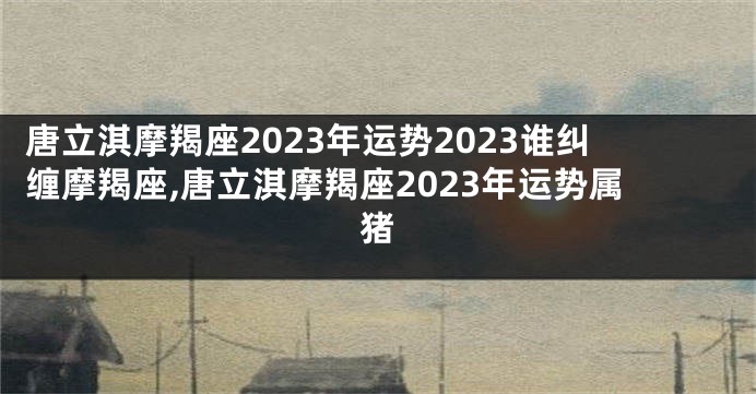 唐立淇摩羯座2023年运势2023谁纠缠摩羯座,唐立淇摩羯座2023年运势属猪