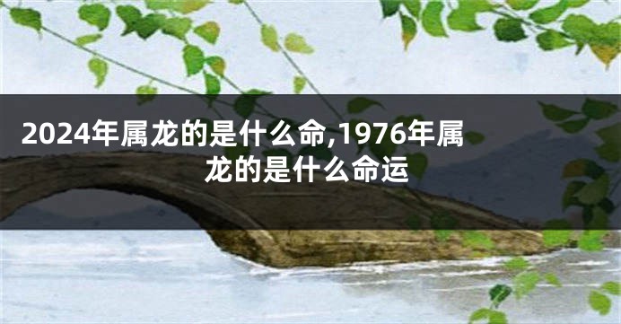 2024年属龙的是什么命,1976年属龙的是什么命运