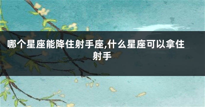 哪个星座能降住射手座,什么星座可以拿住射手