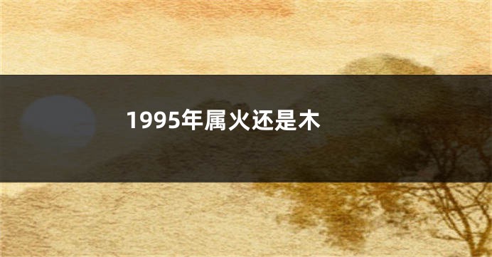 1995年属火还是木