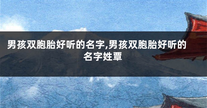 男孩双胞胎好听的名字,男孩双胞胎好听的名字姓覃
