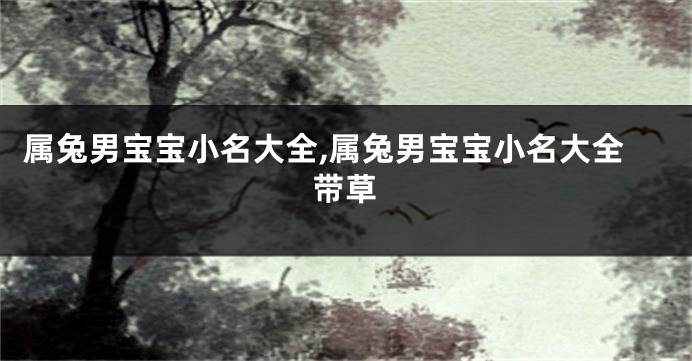 属兔男宝宝小名大全,属兔男宝宝小名大全带草