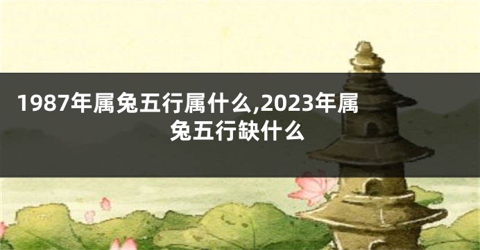1987年属兔五行属什么,2023年属兔五行缺什么