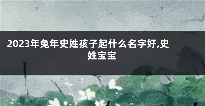 2023年兔年史姓孩子起什么名字好,史姓宝宝