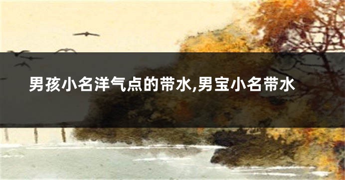 男孩小名洋气点的带水,男宝小名带水