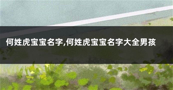 何姓虎宝宝名字,何姓虎宝宝名字大全男孩