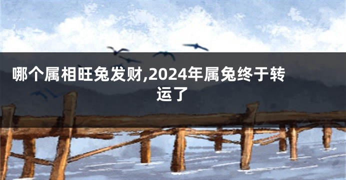 哪个属相旺兔发财,2024年属兔终于转运了