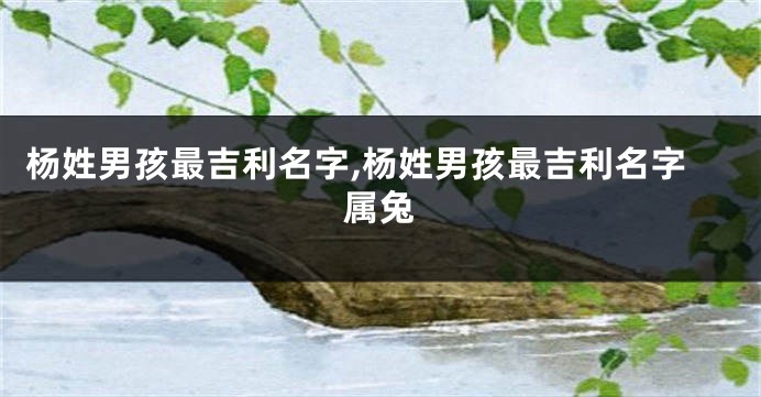 杨姓男孩最吉利名字,杨姓男孩最吉利名字属兔