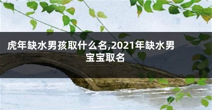 虎年缺水男孩取什么名,2021年缺水男宝宝取名