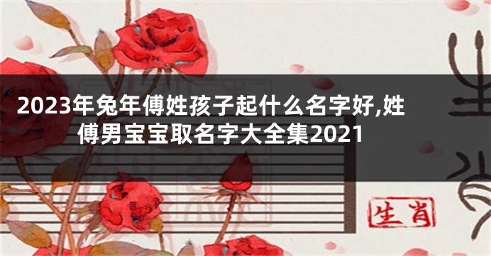 2023年兔年傅姓孩子起什么名字好,姓傅男宝宝取名字大全集2021