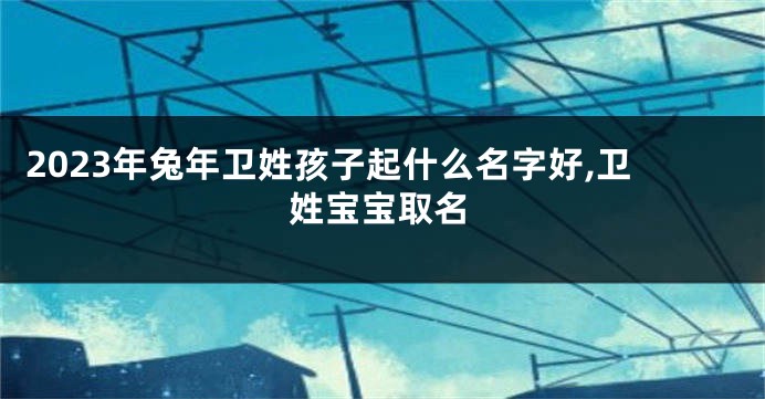 2023年兔年卫姓孩子起什么名字好,卫姓宝宝取名