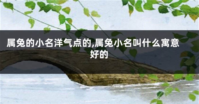属兔的小名洋气点的,属兔小名叫什么寓意好的