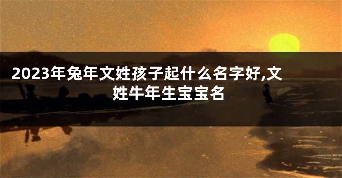 2023年兔年文姓孩子起什么名字好,文姓牛年生宝宝名