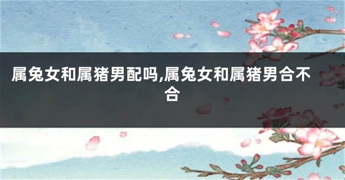 属兔女和属猪男配吗,属兔女和属猪男合不合
