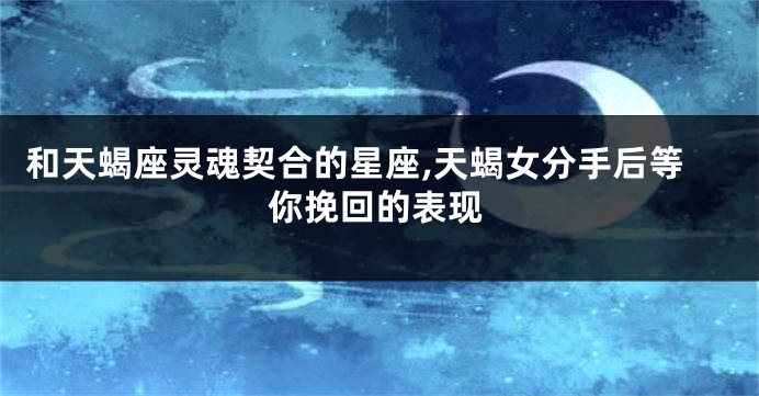 和天蝎座灵魂契合的星座,天蝎女分手后等你挽回的表现