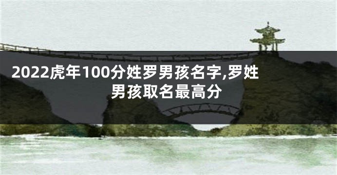 2022虎年100分姓罗男孩名字,罗姓男孩取名最高分