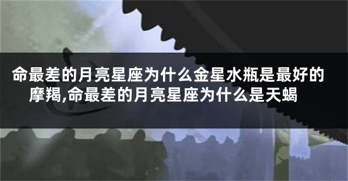 命最差的月亮星座为什么金星水瓶是最好的摩羯,命最差的月亮星座为什么是天蝎
