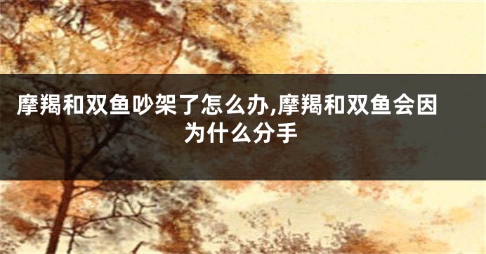 摩羯和双鱼吵架了怎么办,摩羯和双鱼会因为什么分手