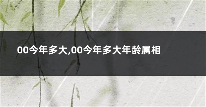 00今年多大,00今年多大年龄属相