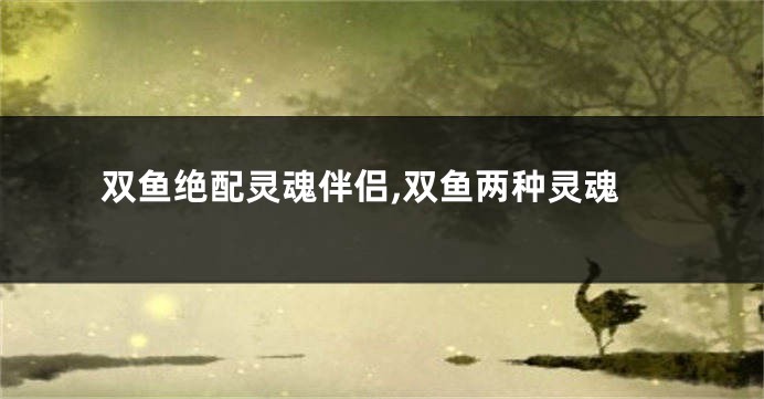 双鱼绝配灵魂伴侣,双鱼两种灵魂