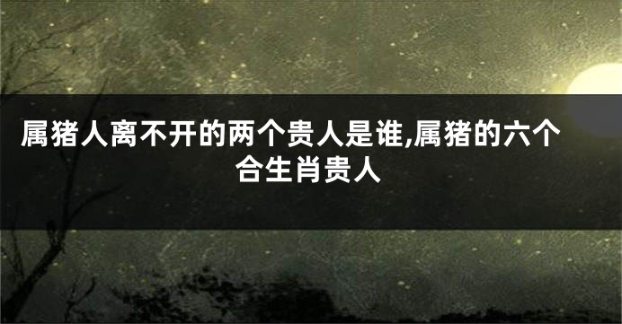 属猪人离不开的两个贵人是谁,属猪的六个合生肖贵人