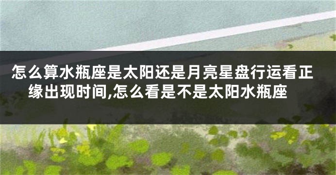 怎么算水瓶座是太阳还是月亮星盘行运看正缘出现时间,怎么看是不是太阳水瓶座