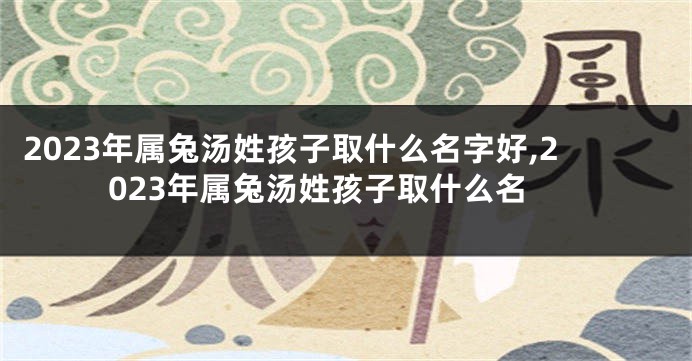2023年属兔汤姓孩子取什么名字好,2023年属兔汤姓孩子取什么名