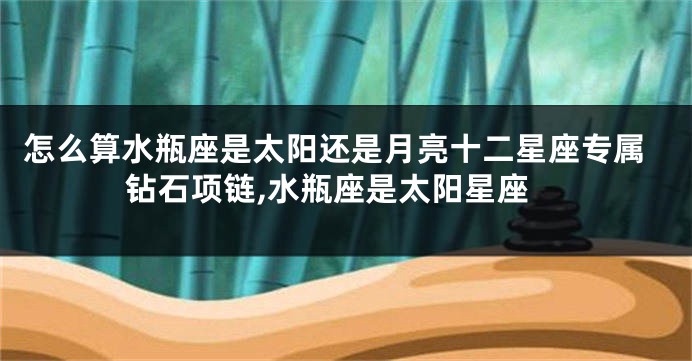 怎么算水瓶座是太阳还是月亮十二星座专属钻石项链,水瓶座是太阳星座