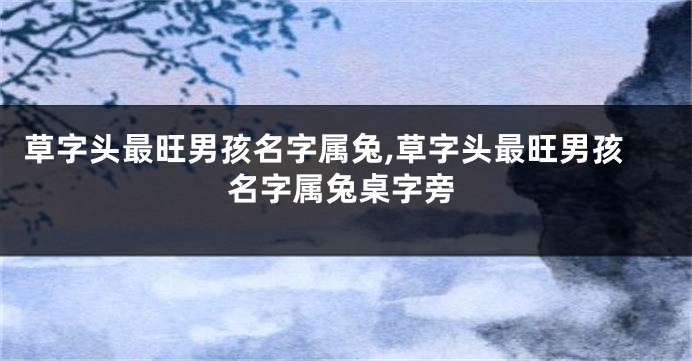 草字头最旺男孩名字属兔,草字头最旺男孩名字属兔桌字旁