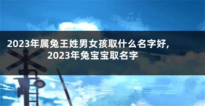 2023年属兔王姓男女孩取什么名字好,2023年兔宝宝取名字