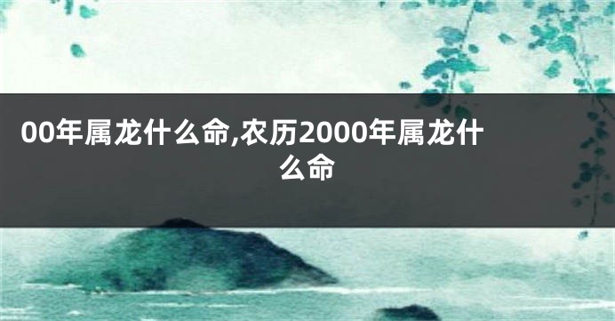 00年属龙什么命,农历2000年属龙什么命