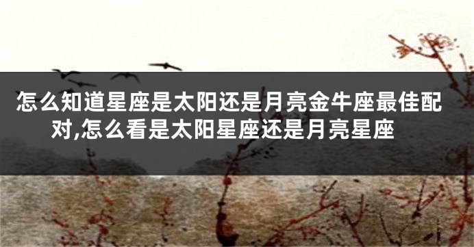 怎么知道星座是太阳还是月亮金牛座最佳配对,怎么看是太阳星座还是月亮星座