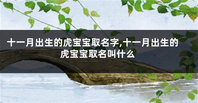 十一月出生的虎宝宝取名字,十一月出生的虎宝宝取名叫什么