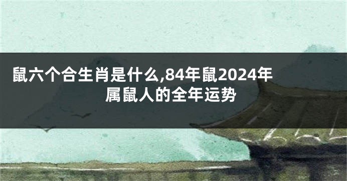 鼠六个合生肖是什么,84年鼠2024年属鼠人的全年运势