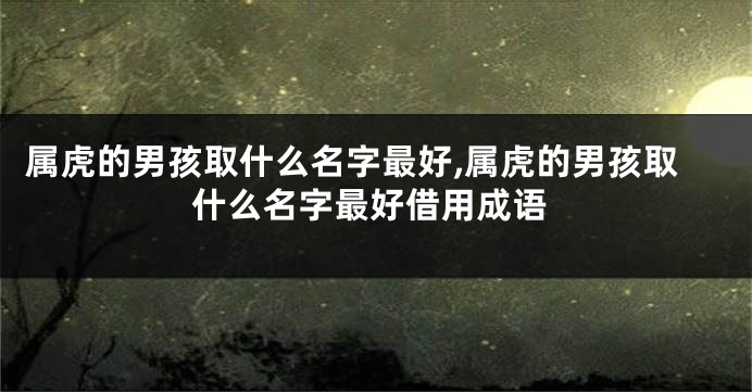 属虎的男孩取什么名字最好,属虎的男孩取什么名字最好借用成语