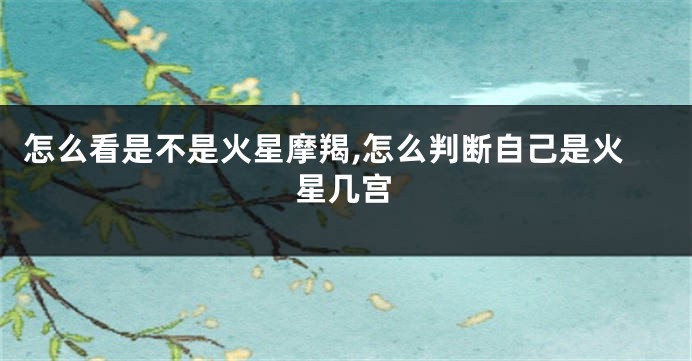怎么看是不是火星摩羯,怎么判断自己是火星几宫
