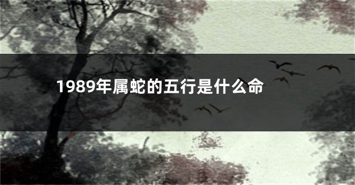 1989年属蛇的五行是什么命
